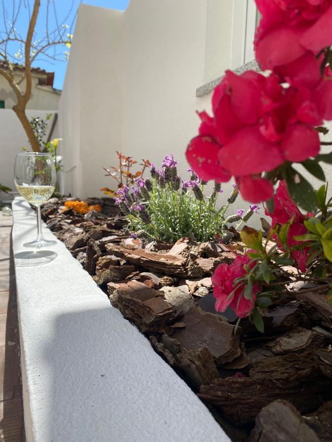 Casas Dos Seixos Βίλα Moledo  Εξωτερικό φωτογραφία
